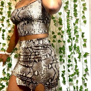 Fashion Nova Snakeskin 2 Piece Set (S)